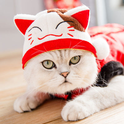 Disfraz Tang Chino para Mascotas - Accesorios de Moda para Perros y Gatos
