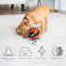 Pelota Interactiva Olfativa para Perros - Juguete Puzzle Multicolor