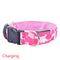 Rosado L Charging