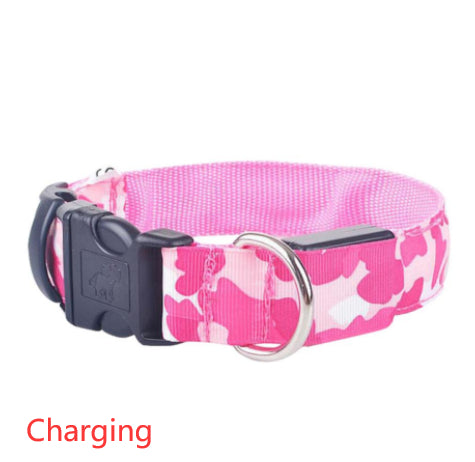 Collar Luminoso Camuflaje para Perros - Seguridad Nocturna - Image 20