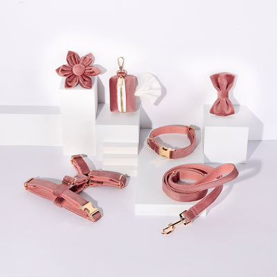 Conjunto de Collar y Correa de Terciopelo Suave para Mascotas - Image 29