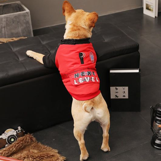 Ropa de abrigo para cachorros pequeños - Otoño e invierno - Image 8
