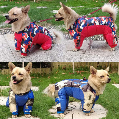 Abrigo Térmico para Perros - Chaqueta de Plumón Grueso Invierno - Image 14