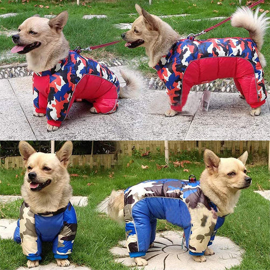Abrigo Térmico para Perros - Chaqueta de Plumón Grueso Invierno - Image 14