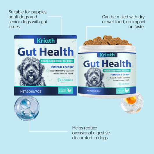 Gránulos Blandos para la Salud Intestinal Canina - Image 10