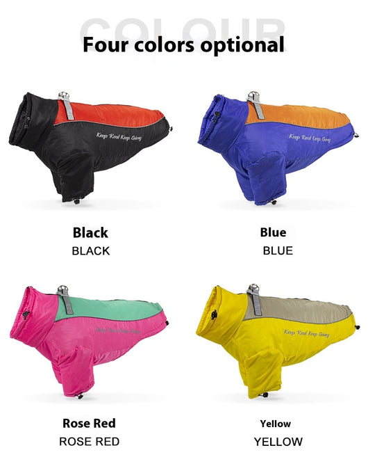 Abrigo Térmico de Polar para Perros - Image 22