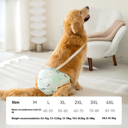 Pantaletas Menstruales Absorbentes Big Dog - Protección Cómoda Todo el Día - Image 6