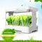 Sistema Automático de Cultivo Hidropónico sin Suelo