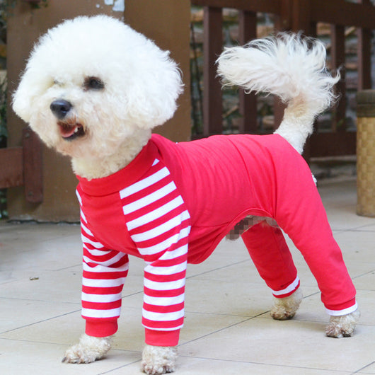 Ropa para Perros Estilo Osito de Cuatro Patas - Image 11