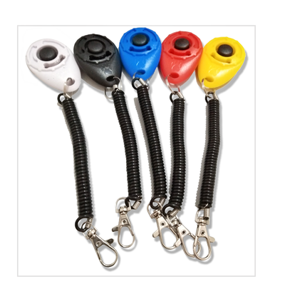 Turquoise dog training clicker with a black button and paw print, attached to a black coiled lanyard with a silver lobster clasp. - Image 16