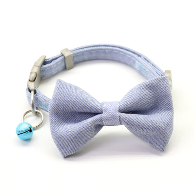 Collar y Correa para Perro - Image 9