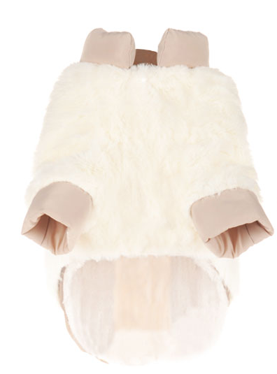 Ropa para Perros Pomerania y Bichón - Diseño Teddy - Image 5
