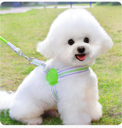 Arnés Respirador para Perros Pequeños y Medianos - Chaleco Cómodo para Paseos de Verano - Image 6