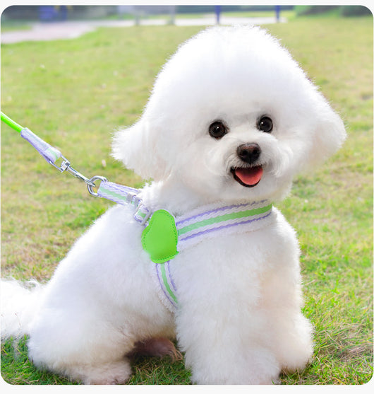 Arnés Respirador para Perros Pequeños y Medianos - Chaleco Cómodo para Paseos de Verano - Image 6