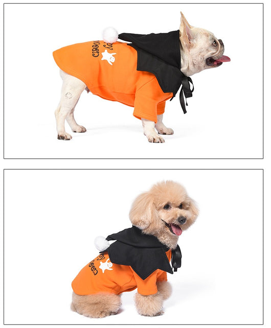 Suéter de Calabaza Divertido de Dos Piezas para Perros - Poncho Incluido - Image 17