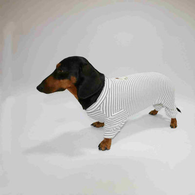 Ropa a Rayas para Perros y Gatos - Diseño Elegante y Cómodo - Image 4