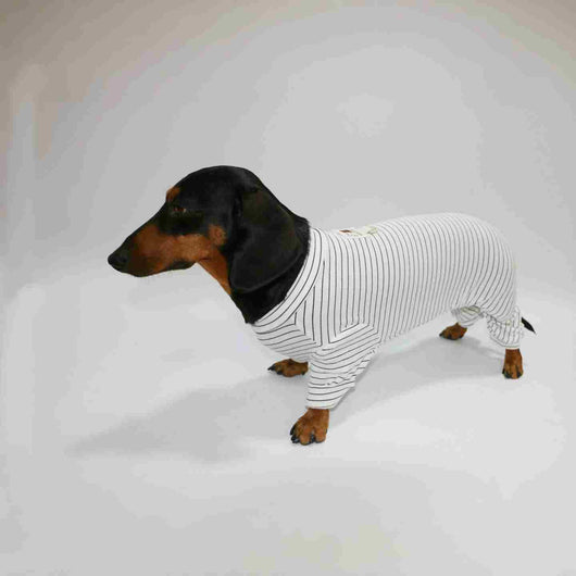 Ropa a Rayas para Perros y Gatos - Diseño Elegante y Cómodo - Image 4
