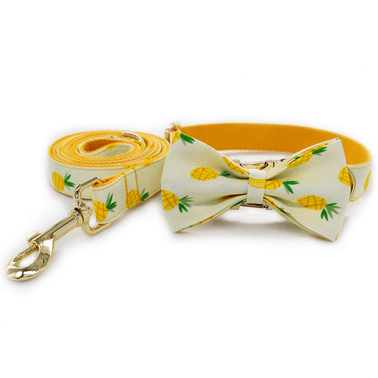 Collar para Mascotas Piña Amarilla - Image 11