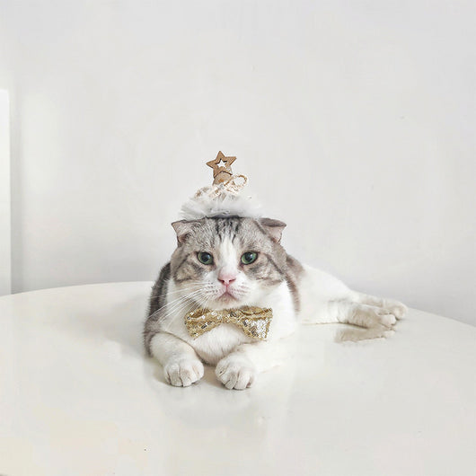 Gorro de Cumpleaños para Gatos con Lentejuelas Doradas y Plateadas - Image 2