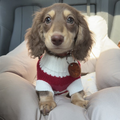 Suéter Abrigado para Perros Pequeños y Gatos - Tejido Grueso y Cálido - Image 3