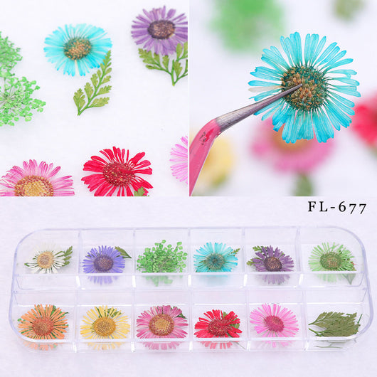 Flores Secas para Nail Art - Image 15