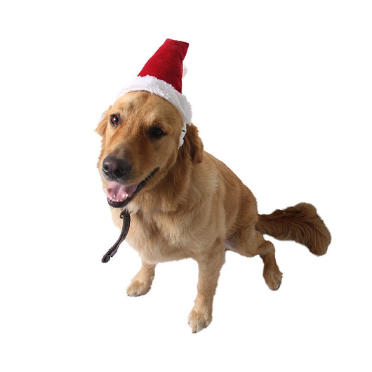 Sombreros Navideños Rojos para Mascotas - Accesorios de Fiesta Premium - Image 2