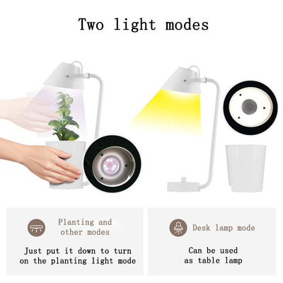 Sistema de Cultivo Hidropónico Automático - Image 4