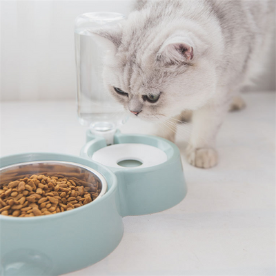 White pet feeding station with a stainless steel food bowl and a clear automatic water dispenser bottle. - Image 5
