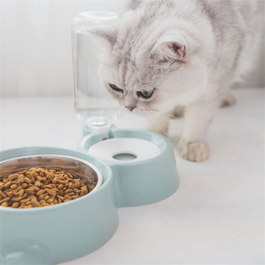 White pet feeding station with a stainless steel food bowl and a clear automatic water dispenser bottle. - Image 5