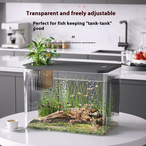 Acuario Ecológico Compacto para Peces Betta - Decoración Minimalista