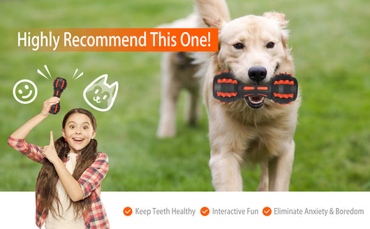 Juguete Masticable Indestructible para Perros Grandes - Forma Mancuerna con Sonido - Image 9