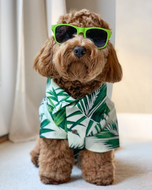 Playera Estilo Europeo y Americano con Diseño de Corgi y Shiba Inu - Image 11