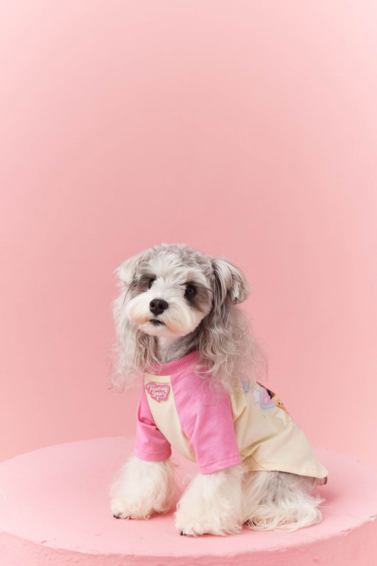 Ropa de Verano para Perros con Contraste de Colores - Image 25