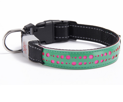 Collar LED Luminoso para Mascotas - Image 8