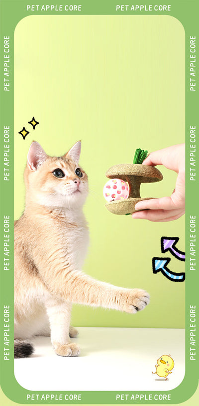 Juguete de Hierba Gatera Comestible con Campana - Juego Interactivo para Gatos - Image 9