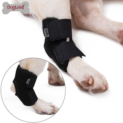 Correa de Fijación Articular para Perros Lesionados - Recuperación y Protección - Image 10