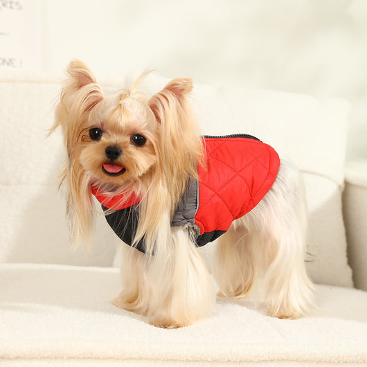 Traje de Esquí Acolchado Impermeable con Diseño Geométrico y Forro Térmico - Image 11
