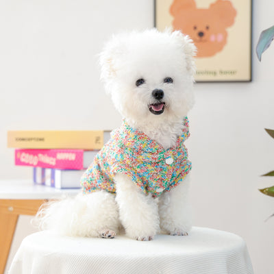 Sudadera Colorida para Mascotas - Diseño Alegre para Perros y Gatos - Image 4