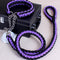 Perro Collar Negro Morado L