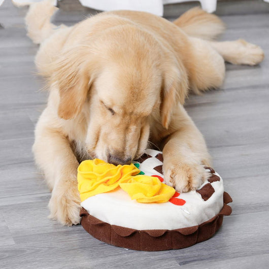 Tapete Olfativo para Cumpleaños de Perros - Image 3
