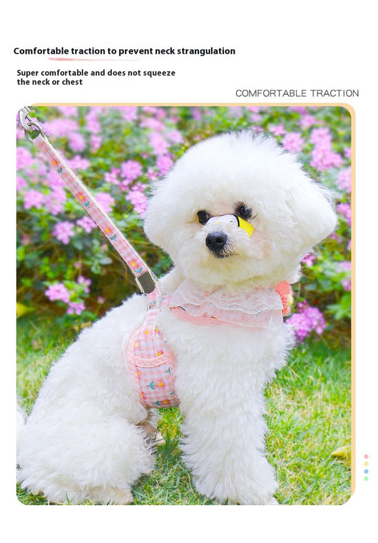 Chaleco de Paseo con Correa para Perros Pequeños - Image 15