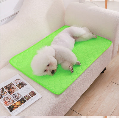 Pañal Lavable para Perros con Almohadilla Absorbente Antideslizante - Image 22