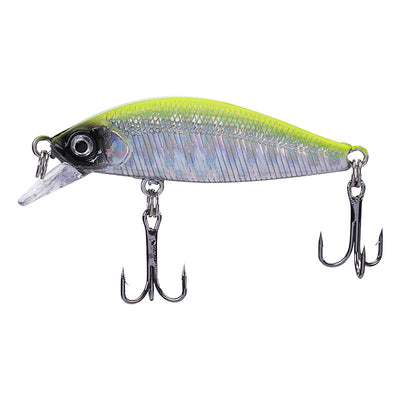 Carnada Viva para Pesca de Agua Dulce - Cucaracha Bass - Image 10