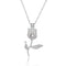 Creative hollowed oysters Pearl series necklace, natural freshwater pearl clavicle chain accessories manufacturer wholesale NY162