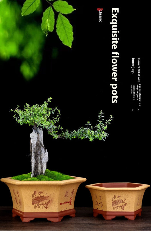 Maceta Hexagonal de Barro Yixing Púrpura Grande para Bonsái y Plantas de Sala - Image 12