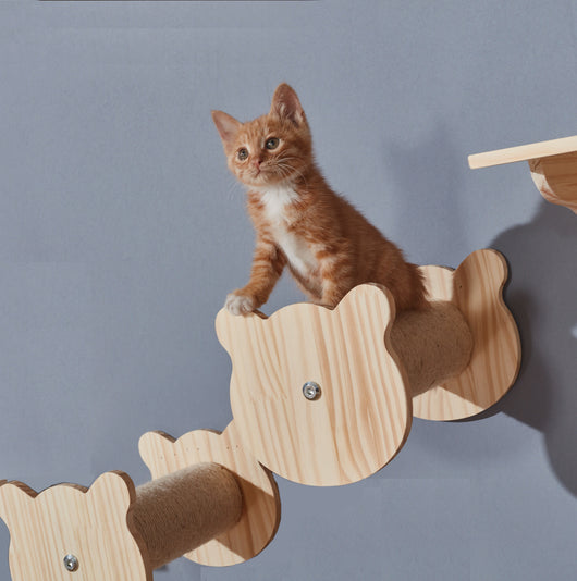 Plataforma Rascadora de Madera Maciza para Gatos con Tablero de Sisal - Image 5