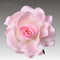 Rosado