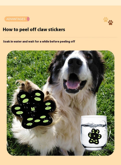 Protectores de Patas Invisibles Respirable para Perros - Almohadillas Adhesivas - Image 11
