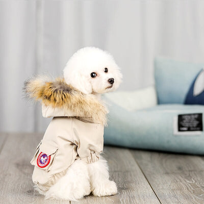 Ropa y Gorro de Lana para Perros - Abrigo de Algodón - Image 7