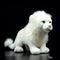 Peluche León Blanco Suave